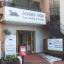 【犬のしつけ教室～看板製作事例～】大阪府岸和田市の犬のしつけ教室。移転オープンにつき看板設置